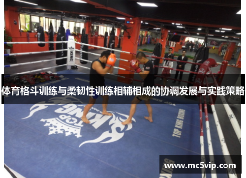 体育格斗训练与柔韧性训练相辅相成的协调发展与实践策略